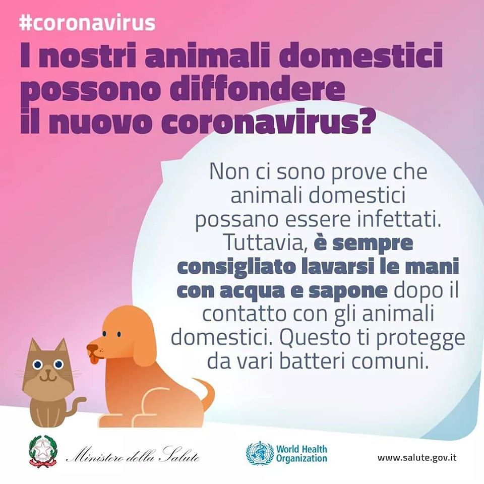LE DOMANDE PIU' FREQUENTI SUL COVID-19